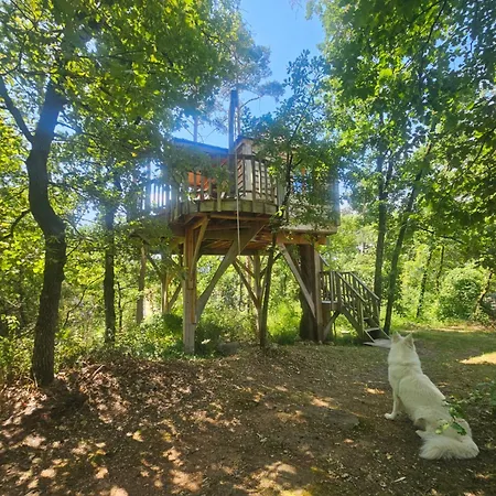 山林小屋 La Cachette - & Hebergements Insolites - 塔恩河畔里维耶尔