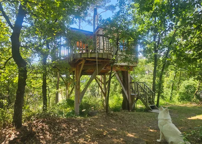 山林小屋 La Cachette - & Hebergements Insolites - 塔恩河畔里维耶尔